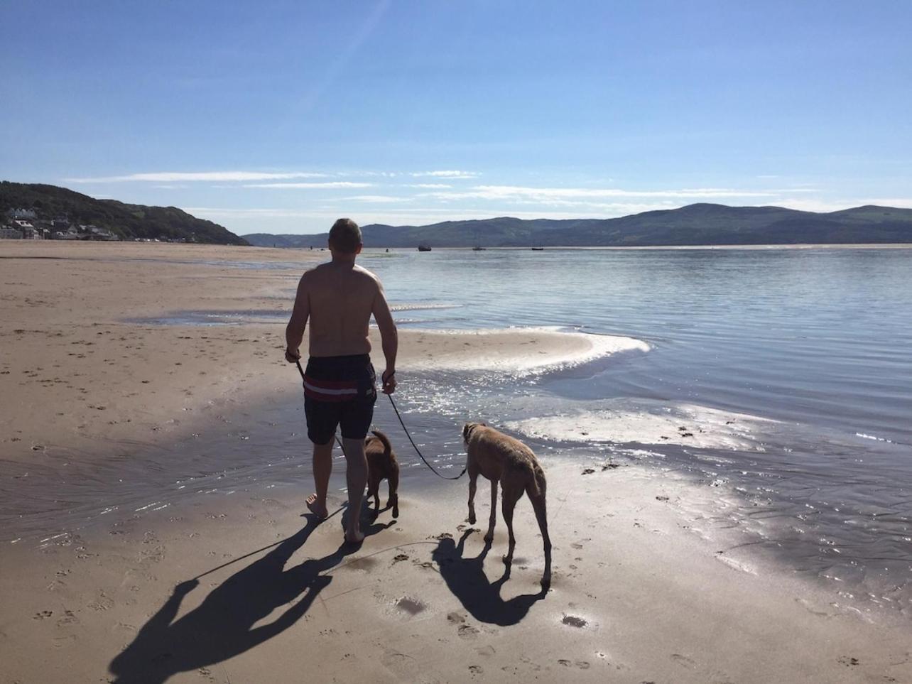 Sunny Shores Aberdyfi Eksteriør bilde